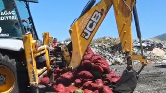 Manisa'da menşei belirsiz midyeler imha edildi