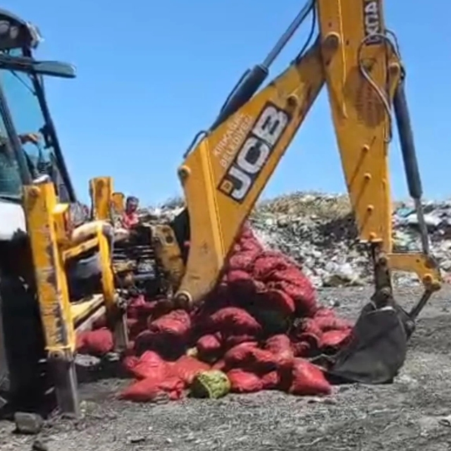 Manisa'da menşei belirsiz midyeler imha edildi