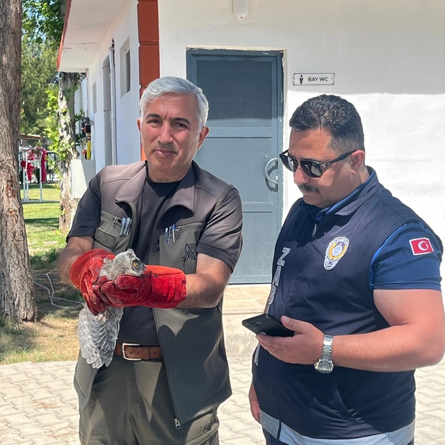 Malatya'da bulunan baykuş yavrusu koruma altına alındı