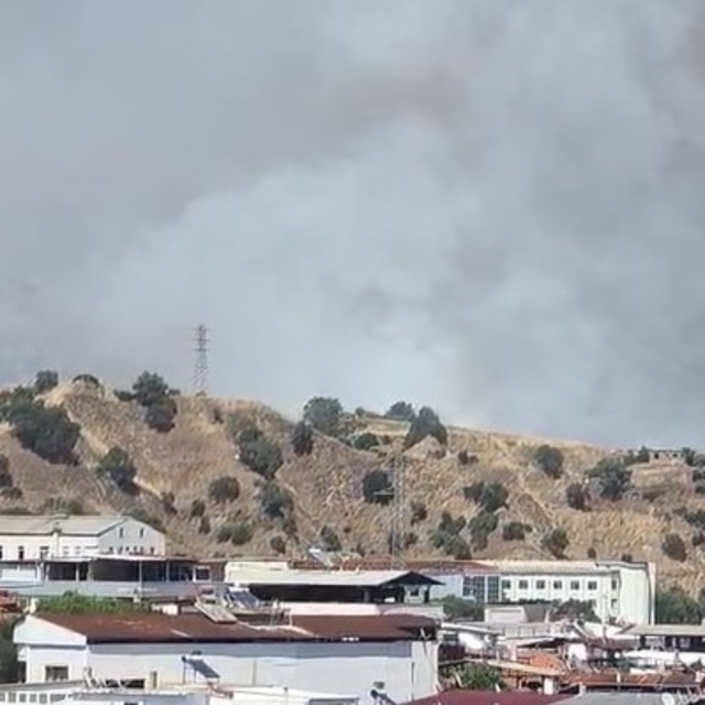 Nazilli'de zirai alan yangını