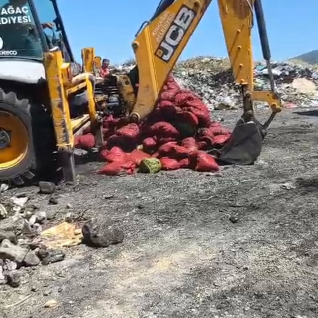 Soma'da bozuk 4 ton midye imha edildi