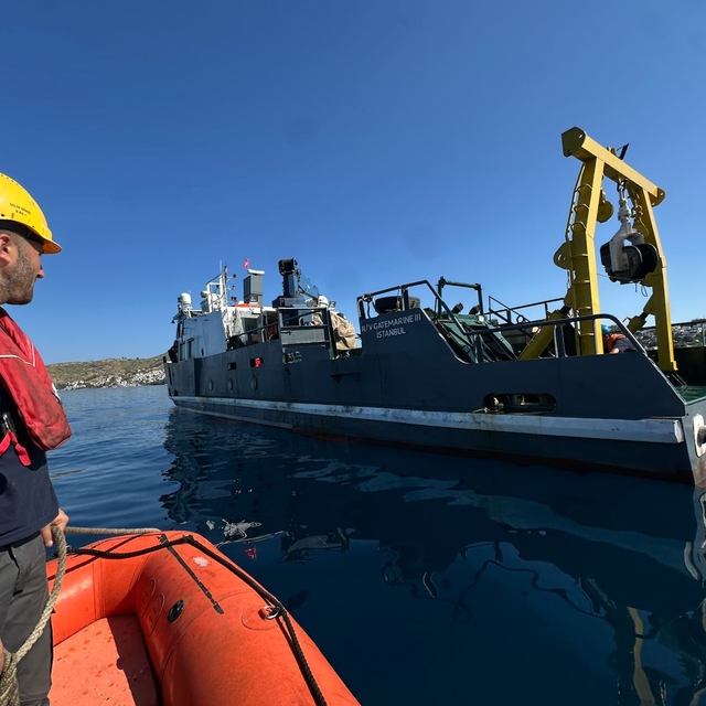 Bodrum açıklarında 40 metre derinliğe uzanan kesintisiz deniz çayırı kuşağı...