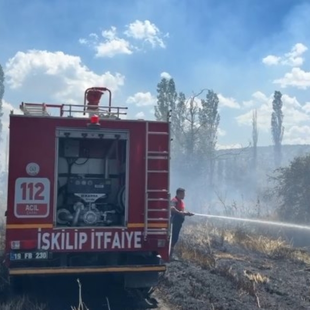 Çorum'da ekili arazi ve ağaçlık alanda yangın