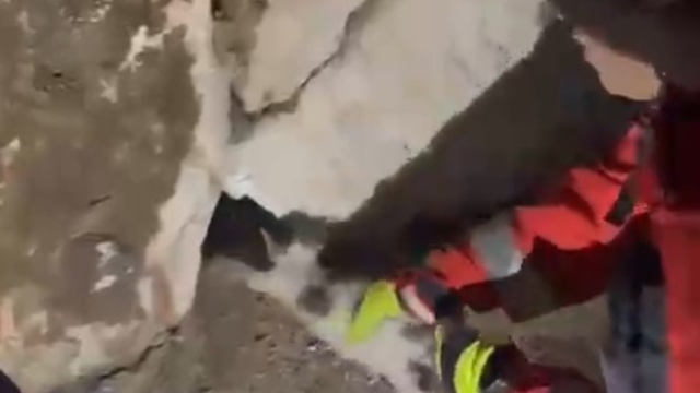 Duvara sıkışan kediyi itfaiye kurtardı