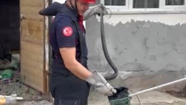 Osmaniye'de evin bahçesinde görülen yılan yakalandı