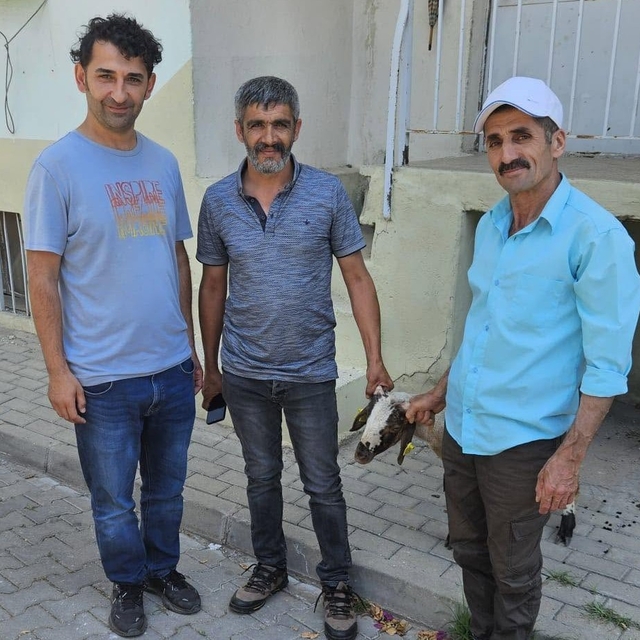 Kapılara toslayan kuzunun sahibi küpesinden bulundu
Başıboş gezen kuzu ekip...