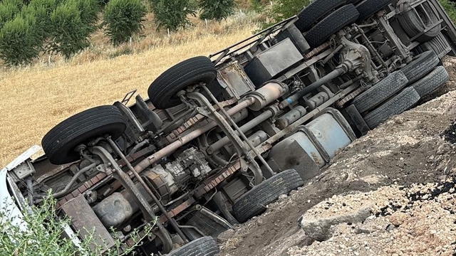 Arpa yüklü kamyon şarampole devrildi