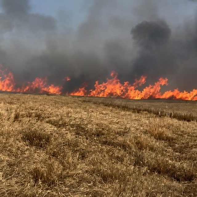 Tekirdağ'da 400 dönüm buğday ekili alan yandı
