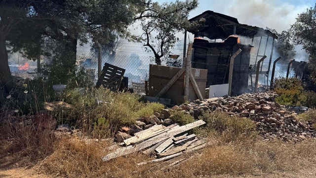 Cunda'da makilik alanda çıkan yangın ormanı yaktı (2)