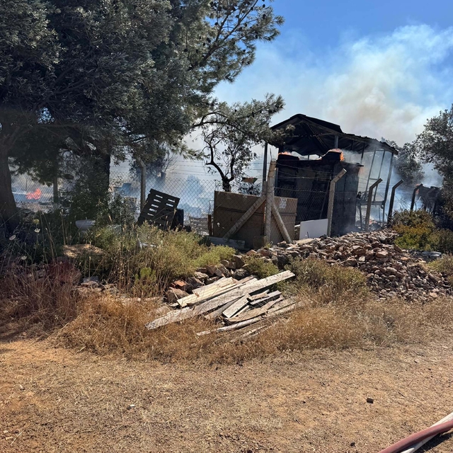 Cunda'da makilik alanda çıkan yangın ormanı yaktı (2)