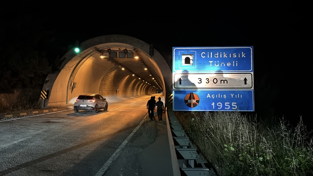 Karabük'te tünelde otomobilin çarptığı bozayı yaralandı