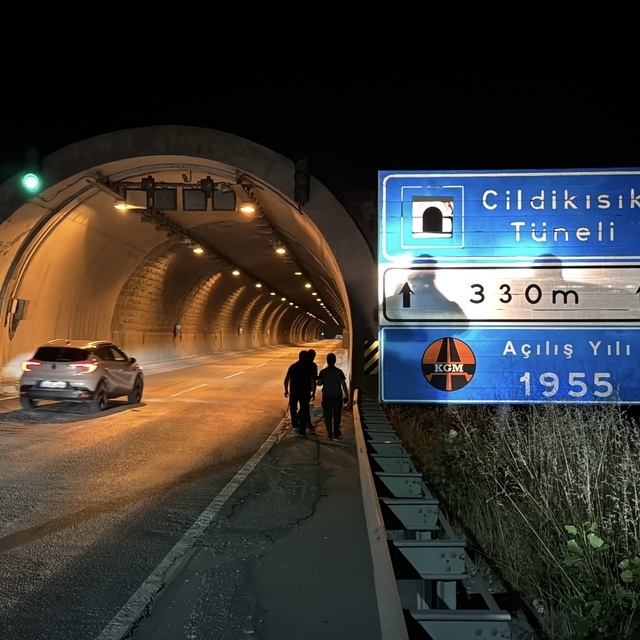 Karabük'te tünelde otomobilin çarptığı bozayı yaralandı