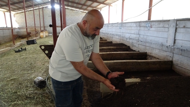 Bahçesinde ürettiği solucan gübresi gelir kaynağı oldu