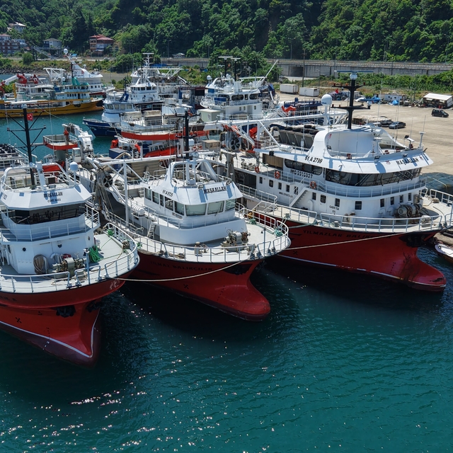 50 tonluk orkinos avı kotasını 42 günde doldurup Yoroz Limanı'na demirledil...