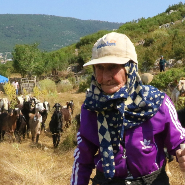 Antalya'nın süper çobanı Emine Nine: 94 yaşında, 90 yıldır keçileriyle dağl...