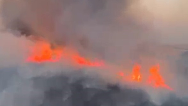 Oğuzeli'nde buğday tarlasında yangın