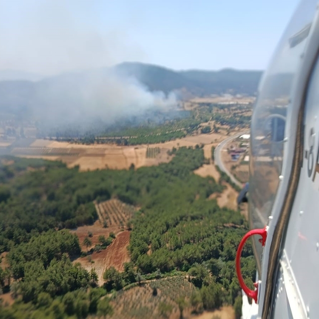 Seydikemer'de orman yangını
