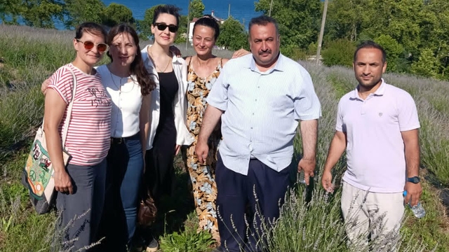 Gerze'de lavanta bahçesi hizmete açıldı