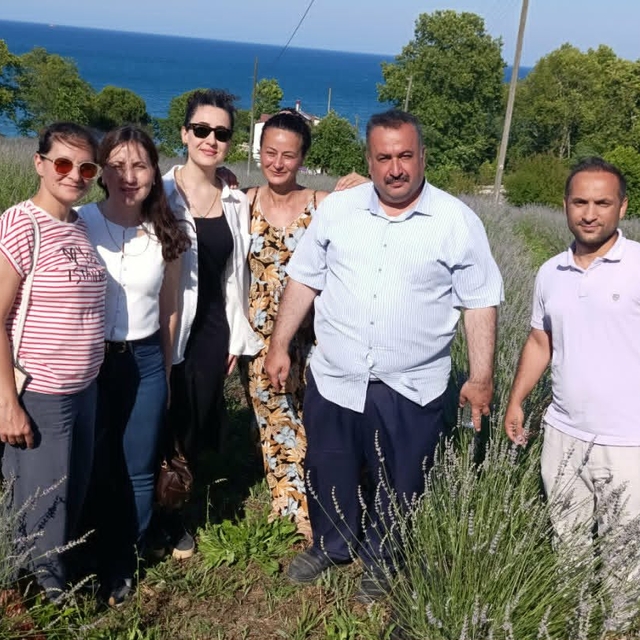 Gerze'de lavanta bahçesi hizmete açıldı