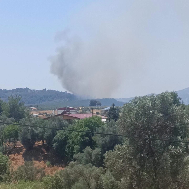 Muğla'nın Seydikemer ilçesinde orman yangını çıktı