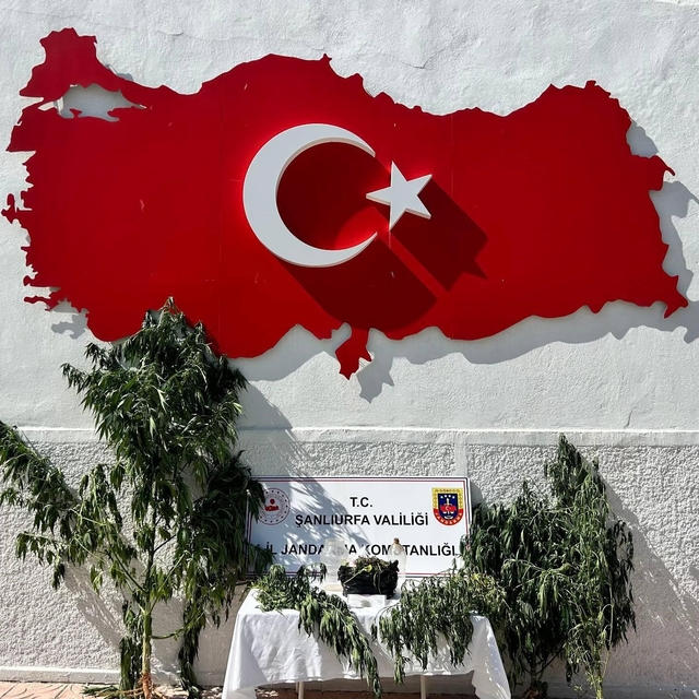 Hilvan'da uyuşturucu operasyonu: 1 gözaltı