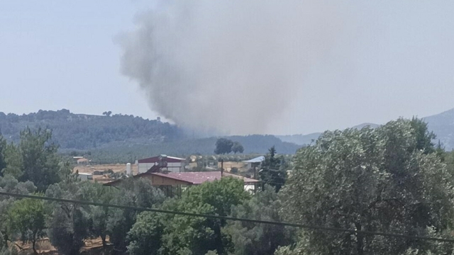 Muğla'da tarım arazisinde çıkan yangın ormana sıçradı