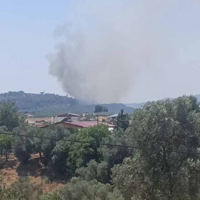 Muğla'da tarım arazisinde çıkan yangın ormana sıçradı