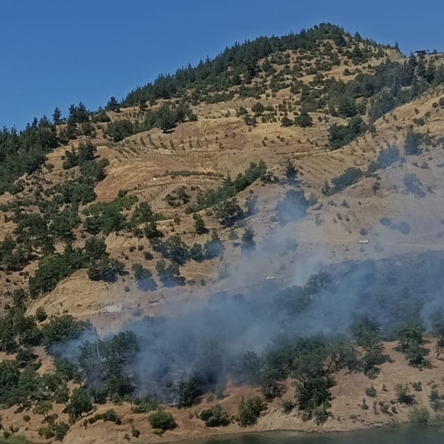 Kahramanmaraş'ta çıkan orman yangını kontrol altına alındı