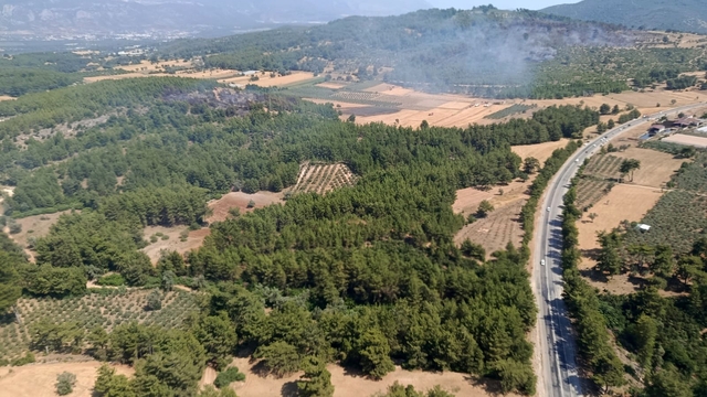 Seydikemer'deki orman yangını kontrol altına alındı