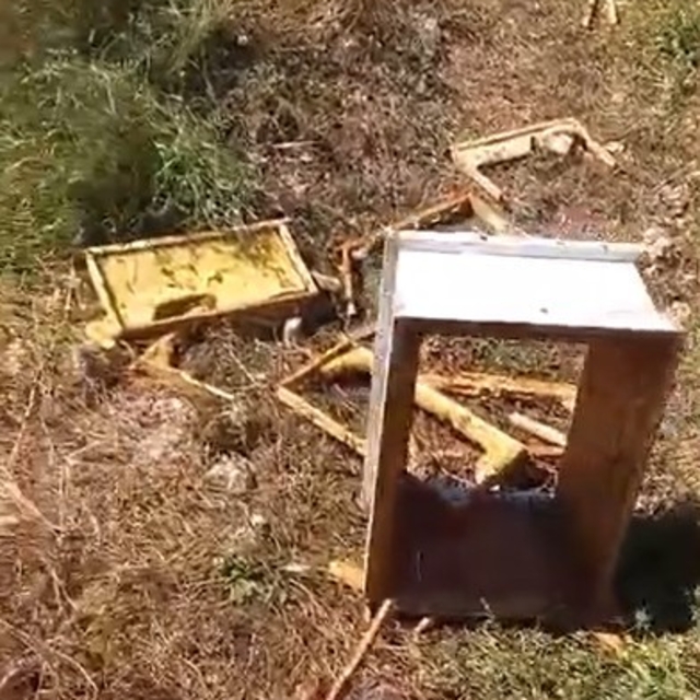 Ayılar arı kovanlarını parçaladı, kontrole giden üretici neye uğradığını şa...