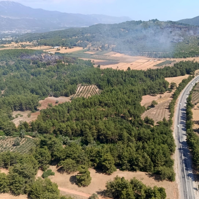 Seydikemer'deki orman yangını kontrol altına alındı
