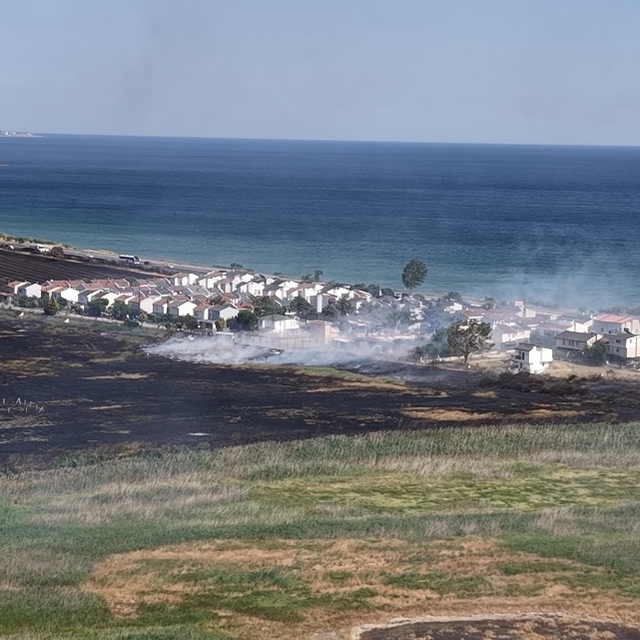 Tekirdağ'da buğday ekili tarlada çıkan yangın söndürüldü