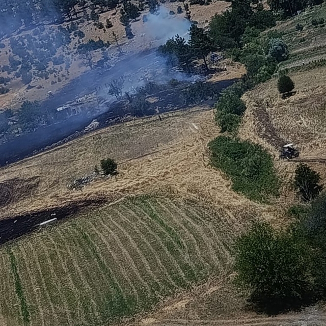 Kahramanmaraş'ta orman yangını kontrol altına alındı