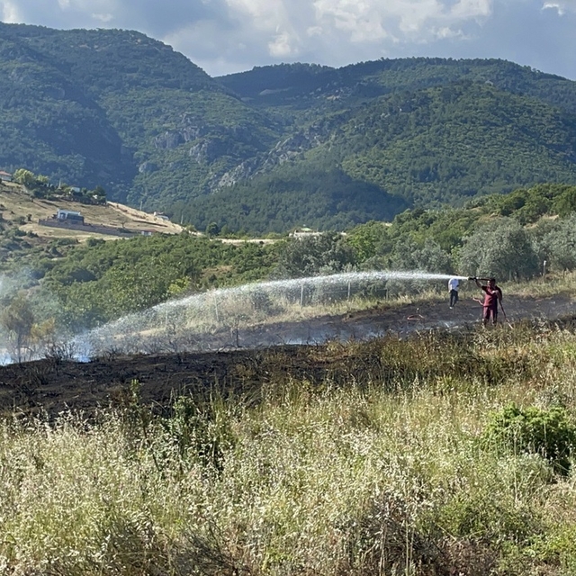 Sakarya'da makilik alanda çıkan yangın söndürüldü