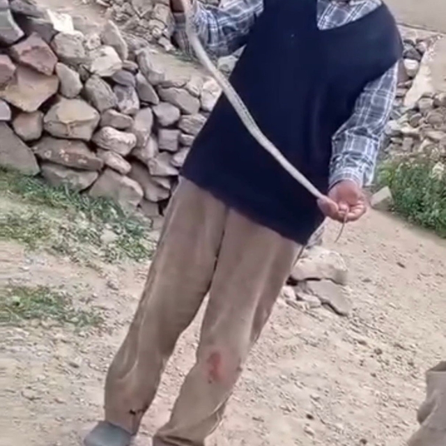 Iğdır'da eve girmeye çalışan yılanı çıplak elle yakaladı