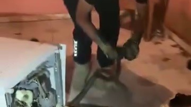 Bulaşık makinesine giren 2 metrelik karayılanı itfaiye çıkardı