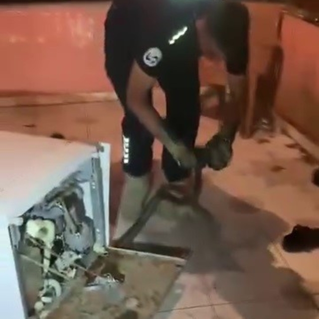 Bulaşık makinesine giren 2 metrelik karayılanı itfaiye çıkardı