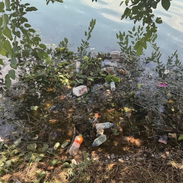 Adana'da Seyhan Nehri ve çevresindeki kirliliğe vatandaştan tepki