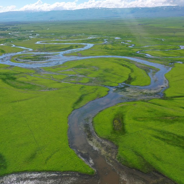 Ardahan'da yeşile bürünen Kura Nehri'nin menderesleri FPV dronla görüntülen...
