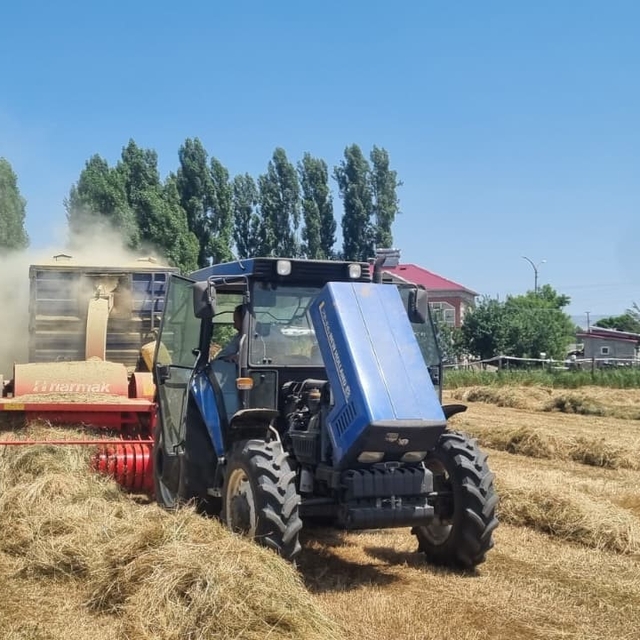 Hasköy'de çiftçilerin kışlık yem mesaisi sürüyor