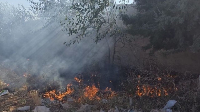 Hassa'da bahçe yangını