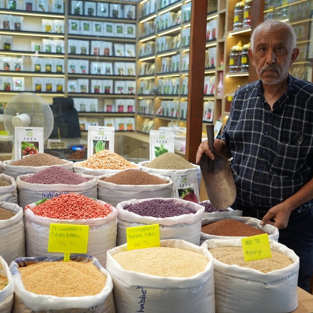Dede mesleğini 3 bin dönüm arazide yaşatıyor