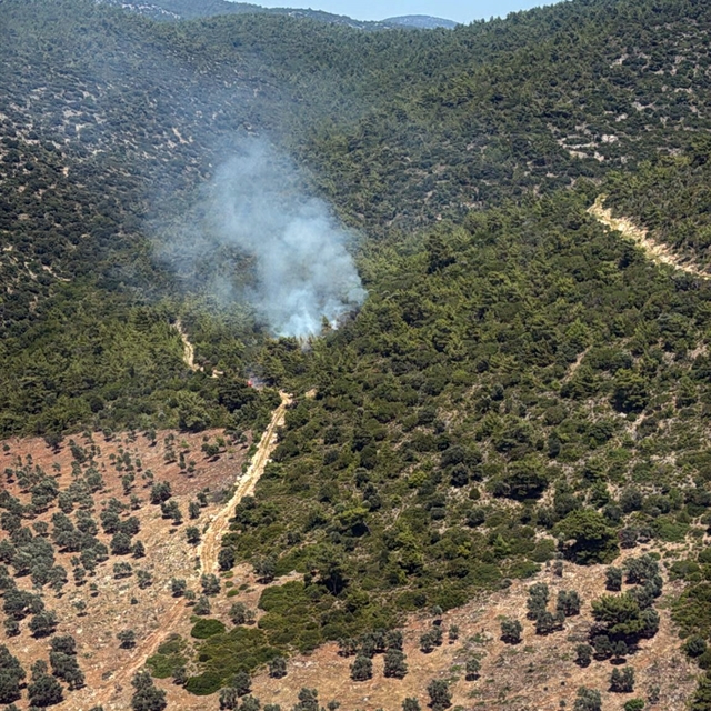 Milas Kazıklı Koyu'nda makilik alanda yangın çıktı