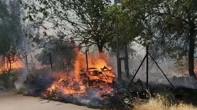 Karadağ Ormanlık alanda çıkan yangın korkuttu