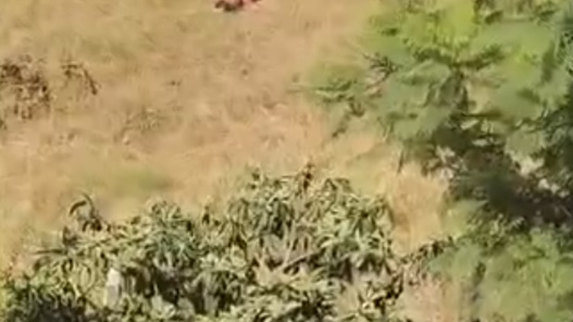Sulama kanalına giren oğlunu kemerle dövdü