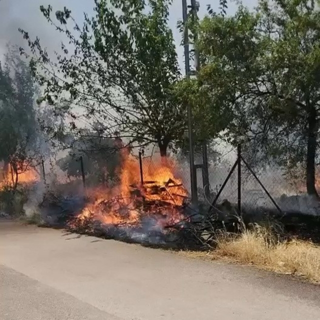 Karadağ Ormanlık alanda çıkan yangın korkuttu