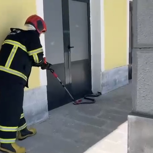 TCDD binasına giren yılan paniğe neden oldu