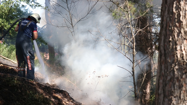 Sakarya'da ağaçlık alanda korkutan yangın