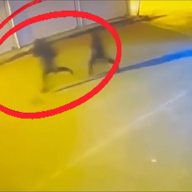 Diyarbakır'da çıkar amaçlı silahlı suç örgütüne operasyon: 15 tutuklama