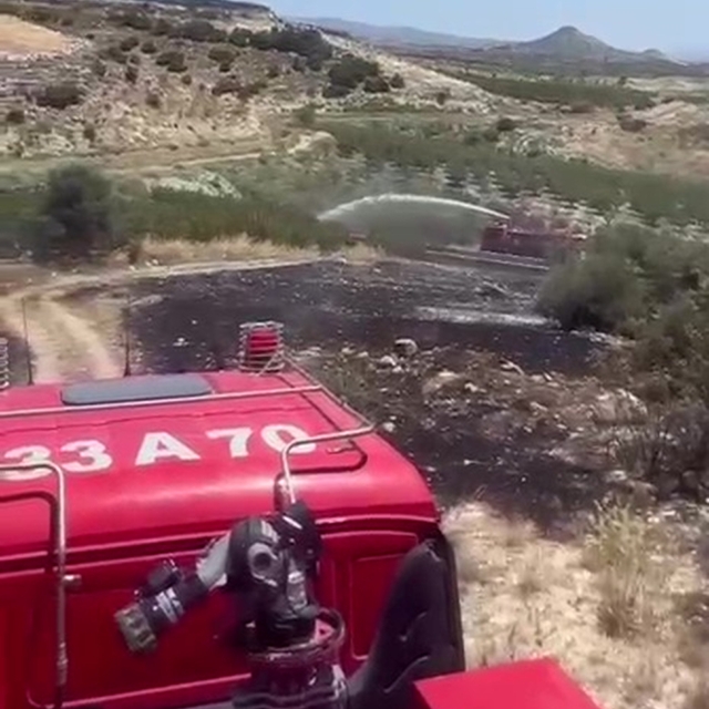 Mersin'de 6 dekar bahçe yangında zarar gördü